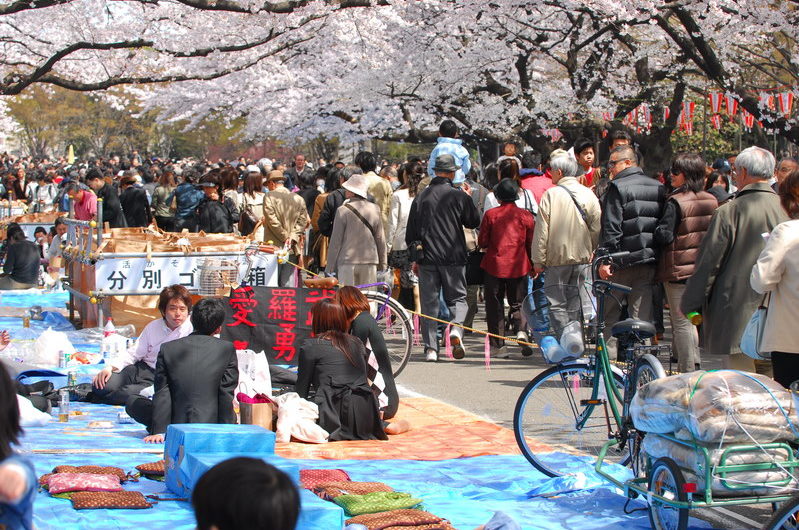 Tokyo - UENO cerisier en fleur