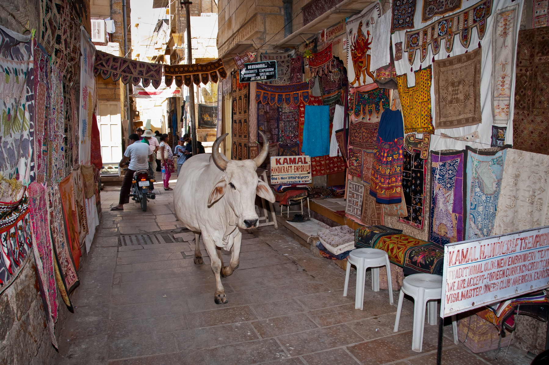 Jaisalmer – La cité du désert du Thar