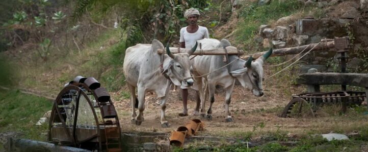 L’Inde, un pays profondément rural – #0028